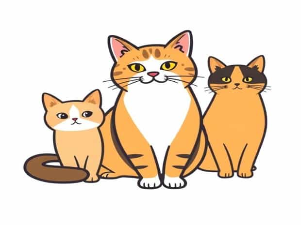 Most Talkative Cat Breeds