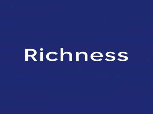 Other Words For Richness