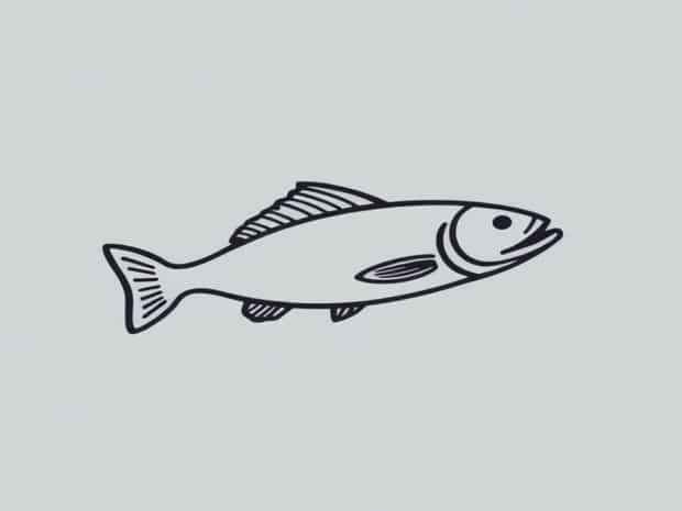 Sanford And Sons Fishmonger