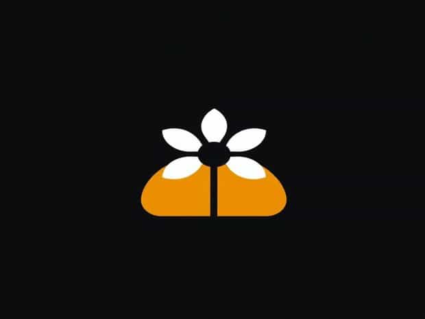 What Does Heliotrope Mean