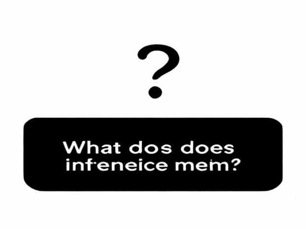 What Does Inference Mean