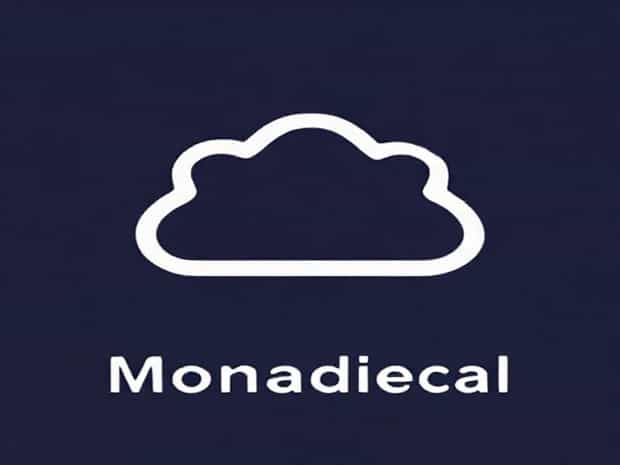 What Does Monomaniacal Mean