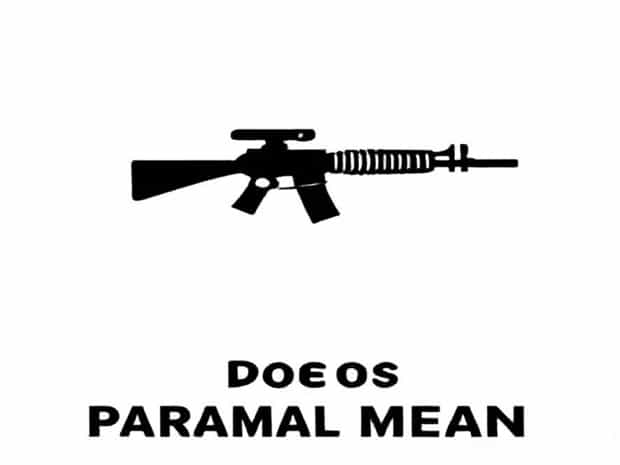 What Does Paramilitary Mean