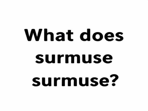 What Does Surmise Mean