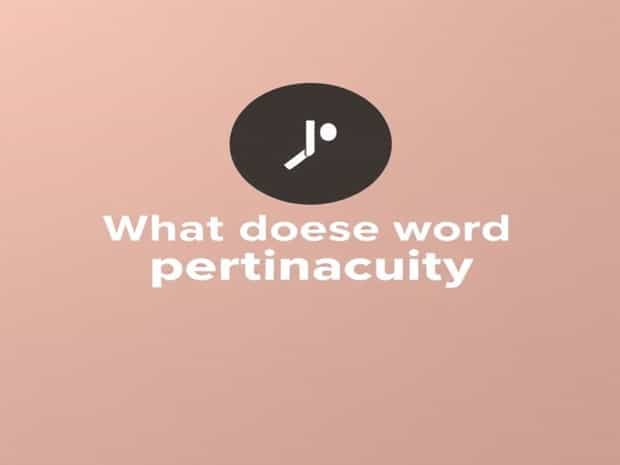 What Does The Word Pertinacity Mean?