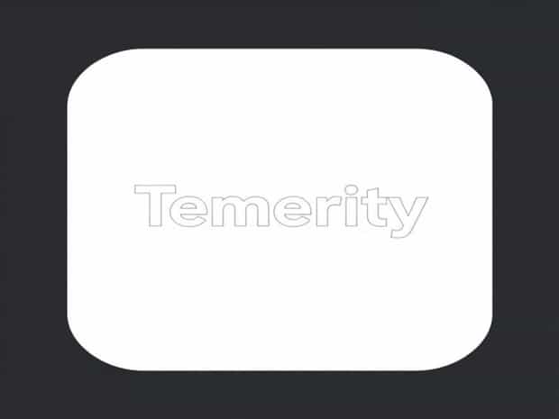 What Does The Word Temerity Mean?