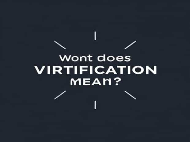 What Does Vitrification Mean