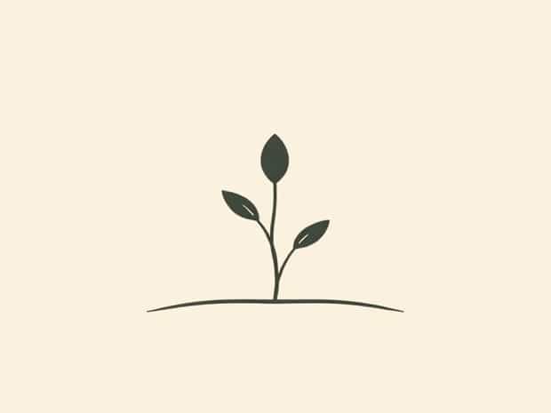What Is A Word For Naturalness