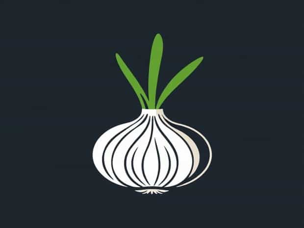 A Picture Of A Shallot