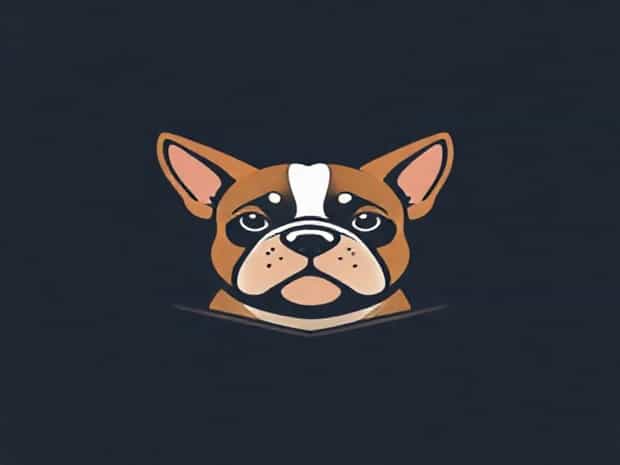A Pocket Bully Dog