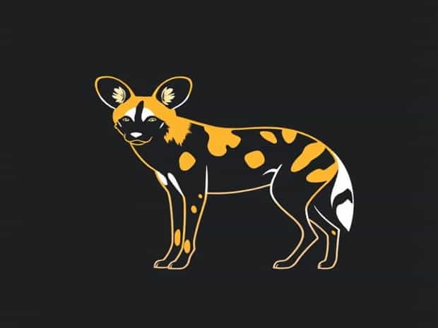 About African Wild Dog
