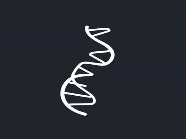 Alpha Helices Create Regions Of The Protein That Are