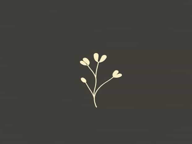 Another Word For Delicate