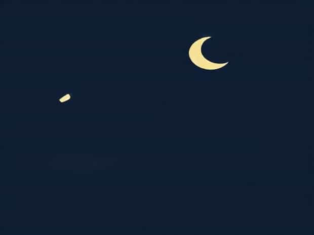 Another Word For Insomniac