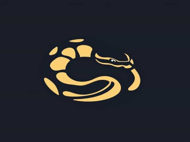 Ball Python Full Grown