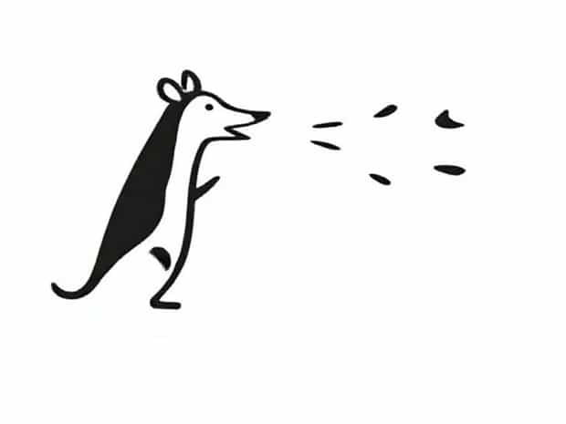 Barks Shrilly Crossword Clue