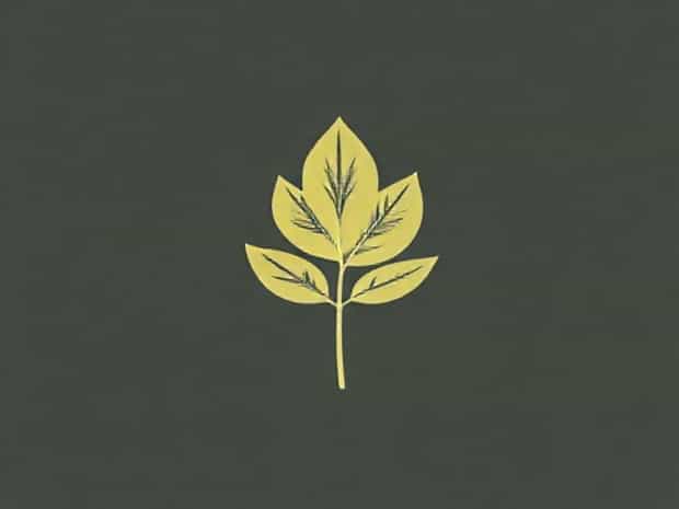 Benefits Of Mullein Leaf