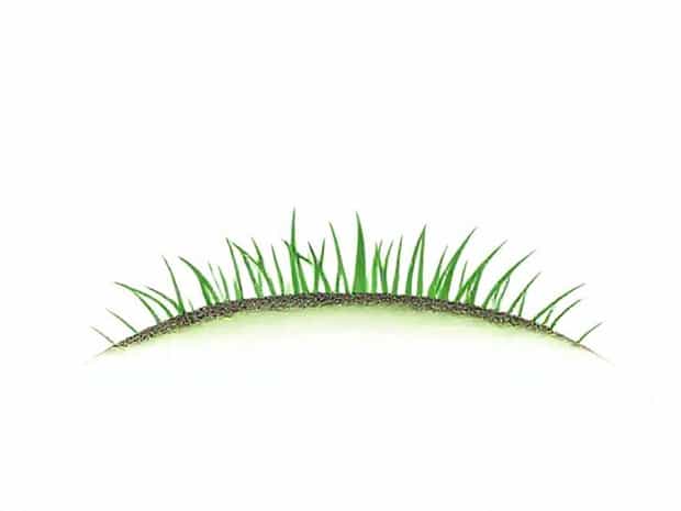 Best Topsoil For Zoysia Grass