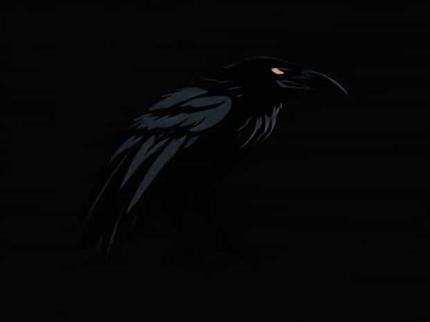 Black Raven Trickster Ipa