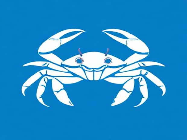 Blue Leg Hermit Crab