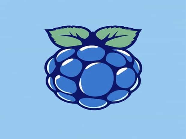 Blue Raspberry Rushy Kid