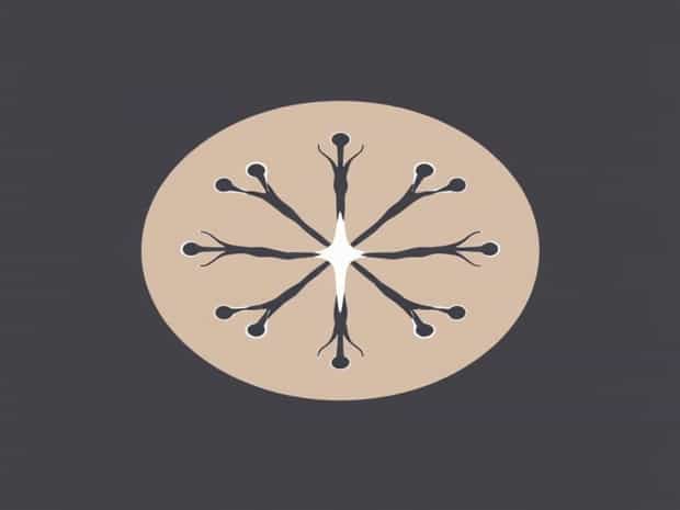 Both Olfactory And Gustatory Receptors Are