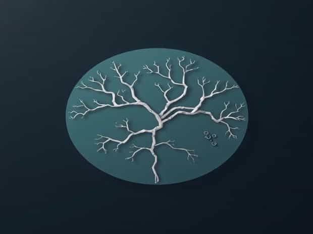 Branches Of Cartography Pdf