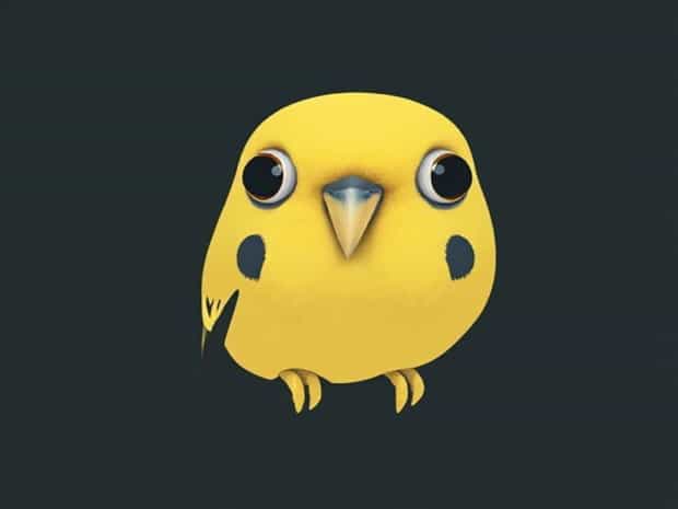 Budgie Fuggler Wide Eyed Weirdo