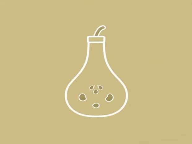 Calories In Bottle Gourd