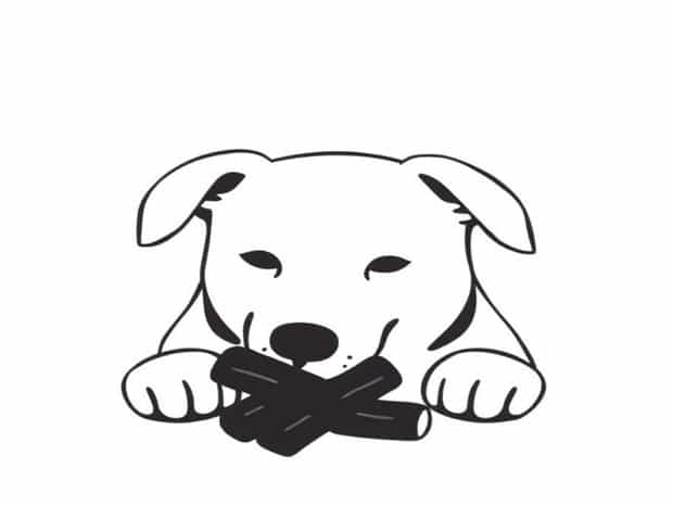 Can Dogs Eat Black Licorice
