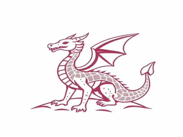 Central Netted Ground Dragon