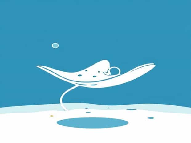 Did The Stingray Have Her Baby?