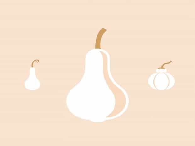 Different Types Of Gourd