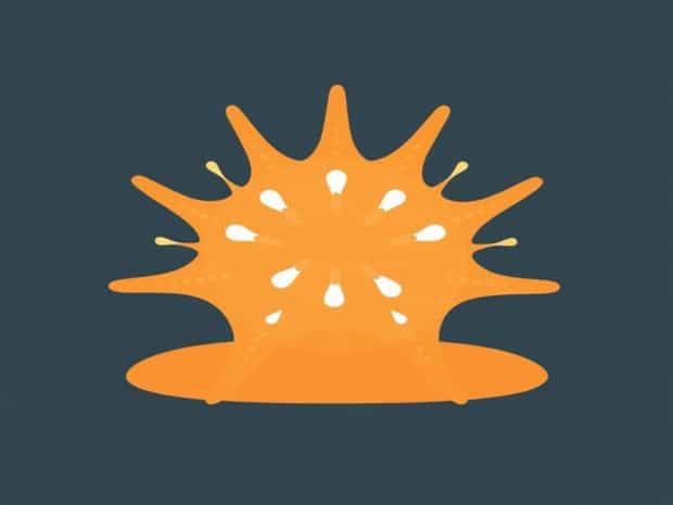 Economic Importance Of Echinoderm