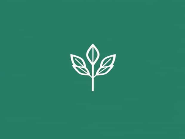 Edibles Thc Near Me
