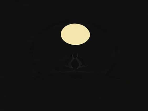 Finding Peace In Stillness