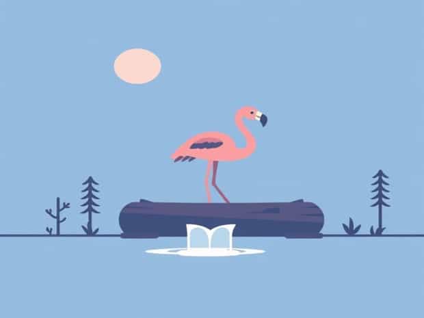 Flamingo Land Log Flume