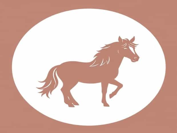 For The Love Of The Hoof