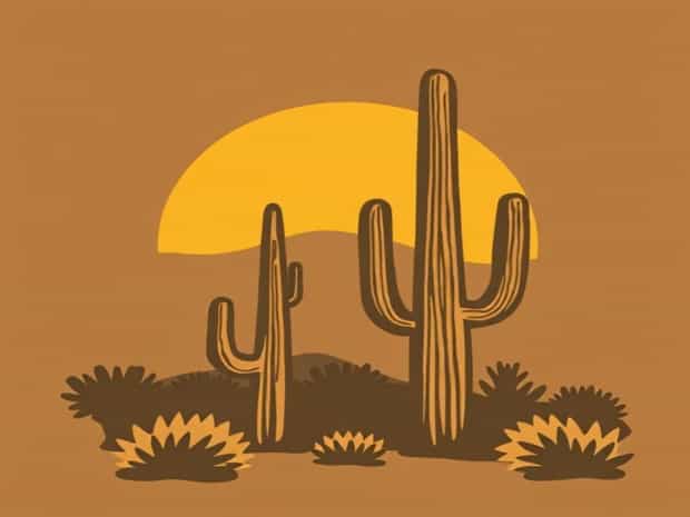 Friends Of Saguaro National Park