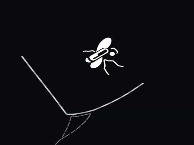 Geographical Distribution Of Tsetse Fly