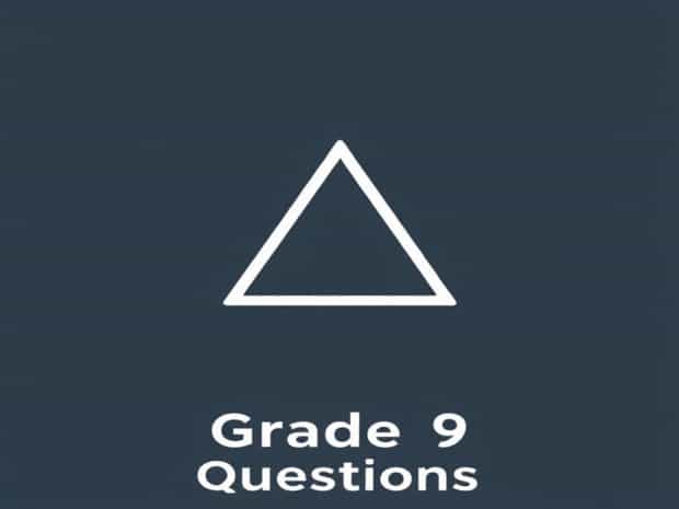 Grade 9 Pythagoras Questions