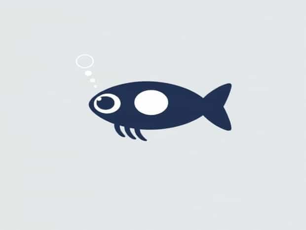 How Does A Squib Work?