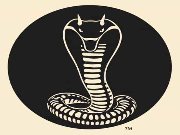 Is Cobra Kai Season 7