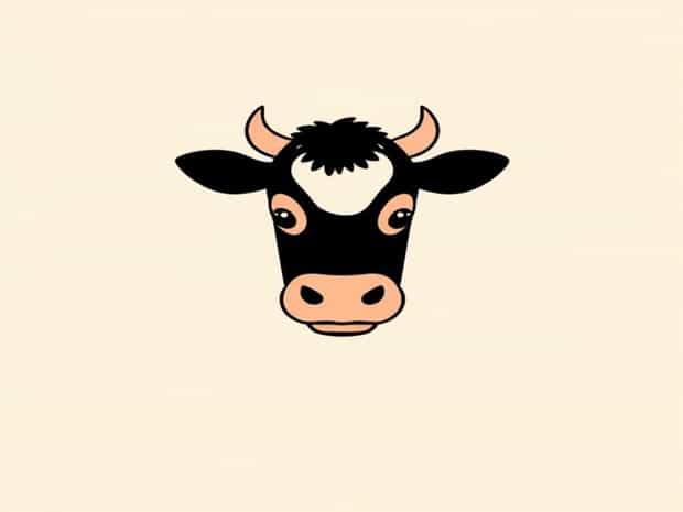 Is It Cowlick Or Calic