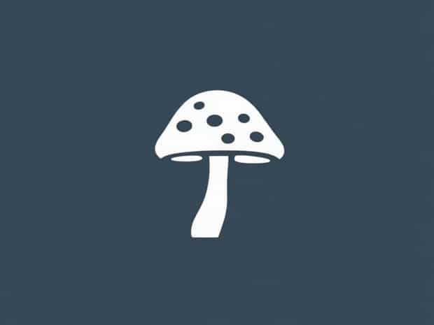 Is Mold A Fungus