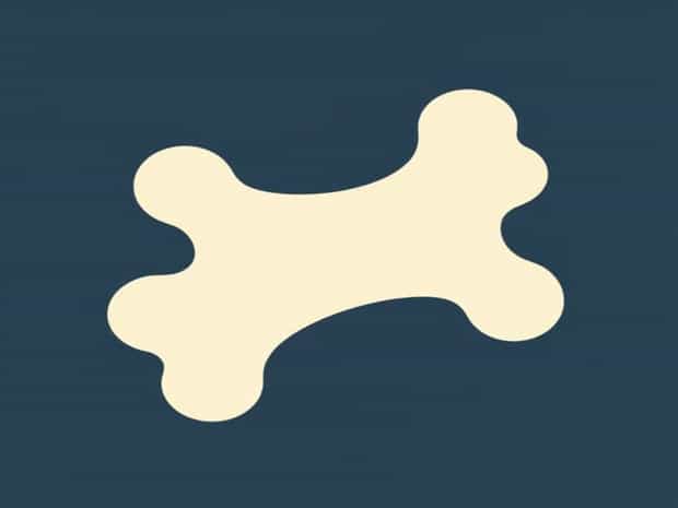 Is The Funny Bone A Bone?