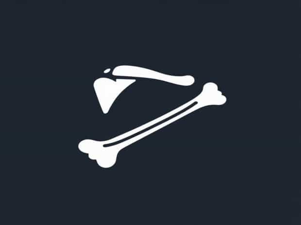 Is The Humerus A Bone?