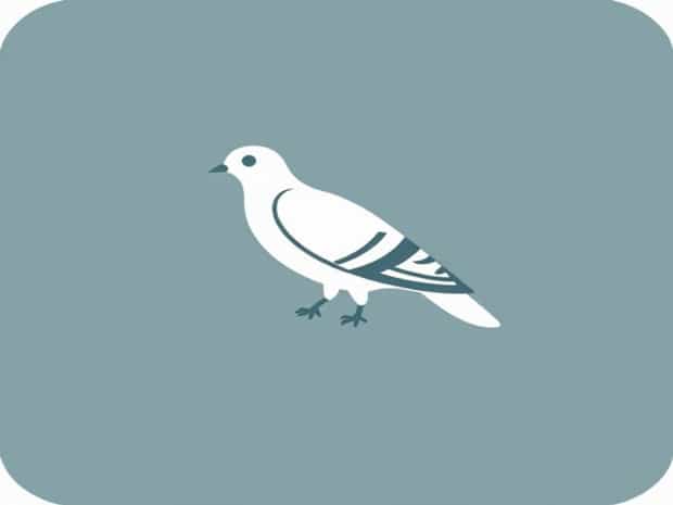 Is The Passenger Pigeon Extinct?