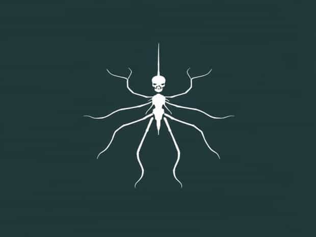 Is The Physical Appearance Of An Organism?