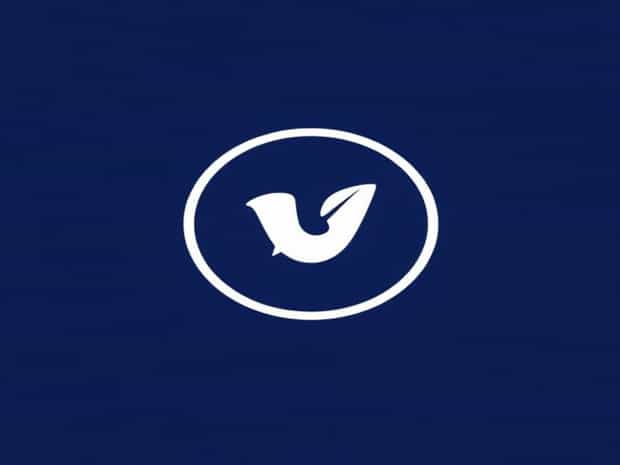 Is Vivaldi Chromium Based